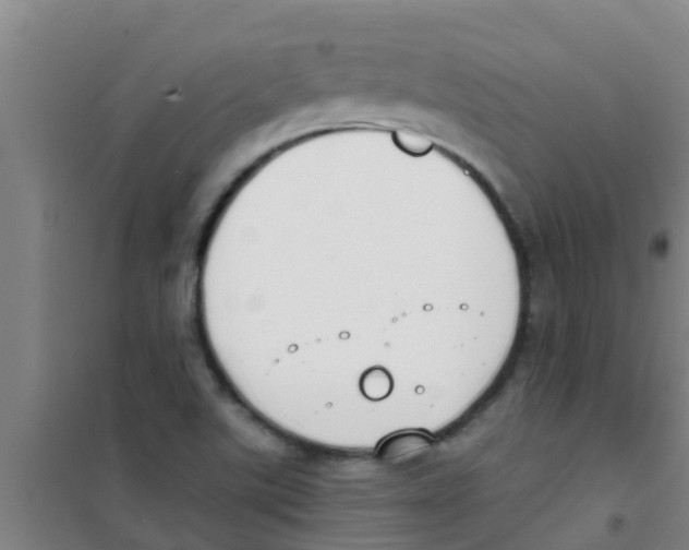 X0000100411507200807032025