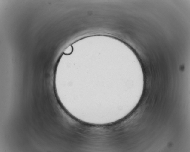 X0000100411508200807032025