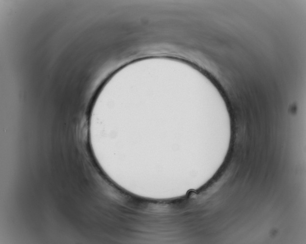 X0000100411509200807032025