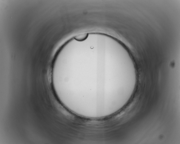 X0000100411510200807032025