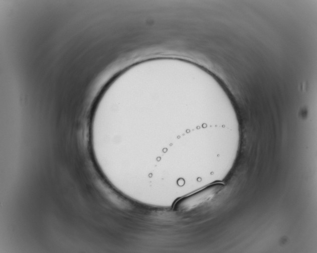 X0000100411511200807032025