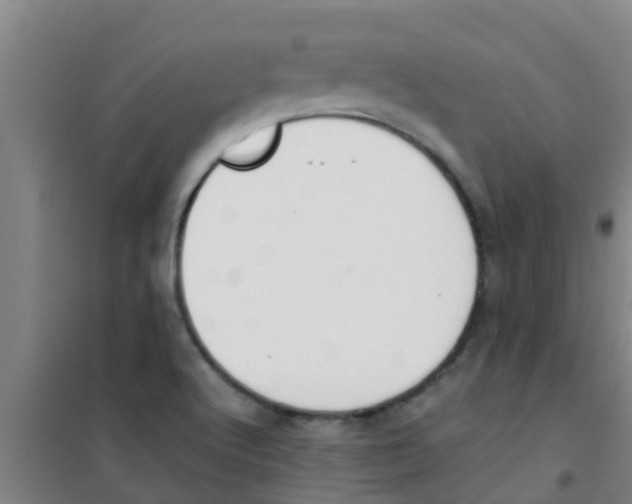 X0000100411512200807032025