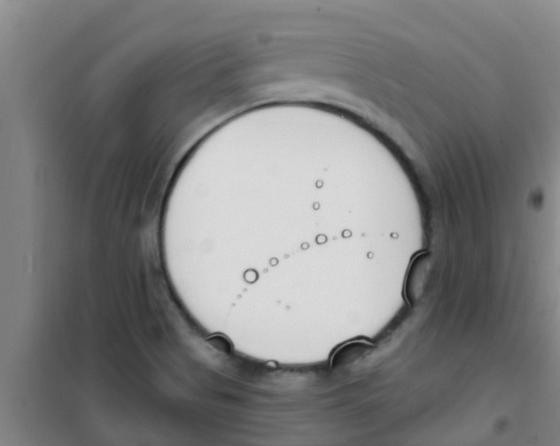 X0000100411513200807032025