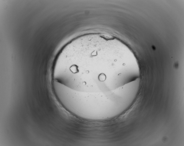 X0000100411514200807032025