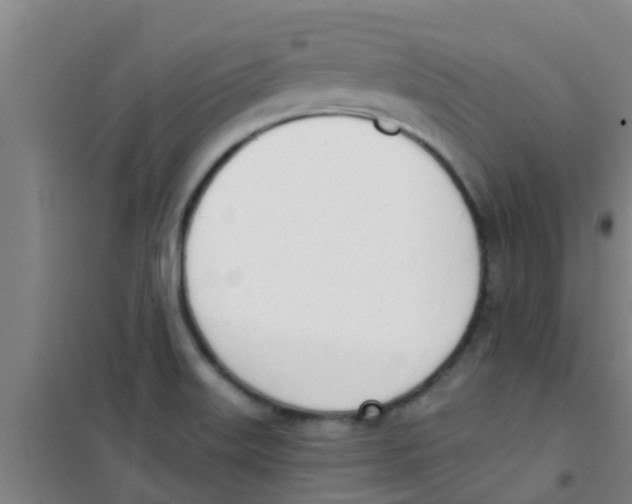 X0000100411515200807032025