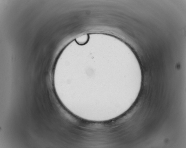 X0000100411517200807032025