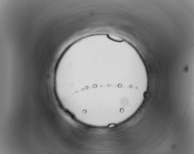 X0000100411519200807032025