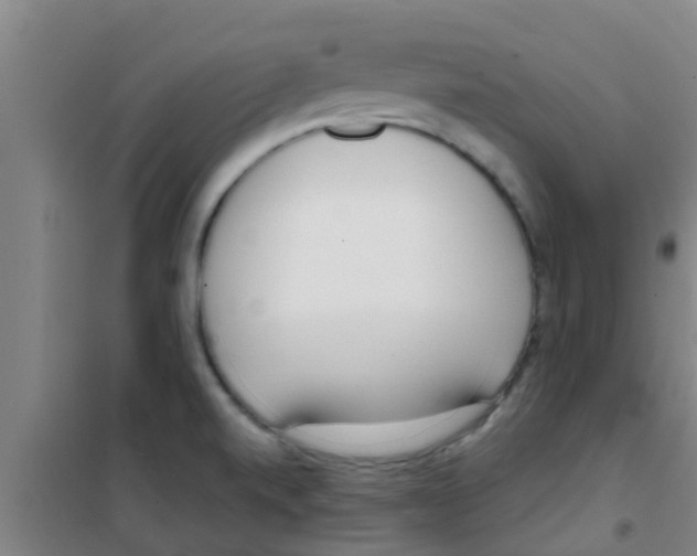 X0000100411520200807032025