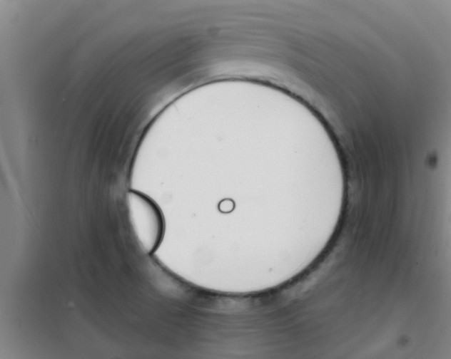 X0000100411521200807032025