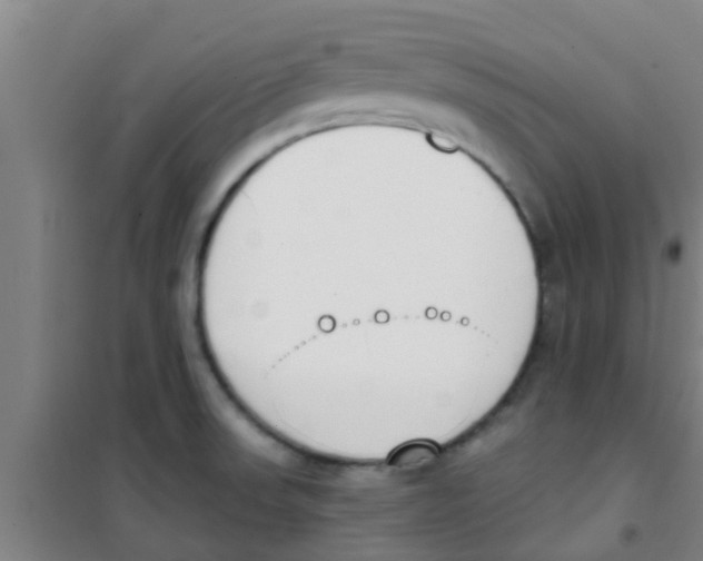 X0000100411523200807032025