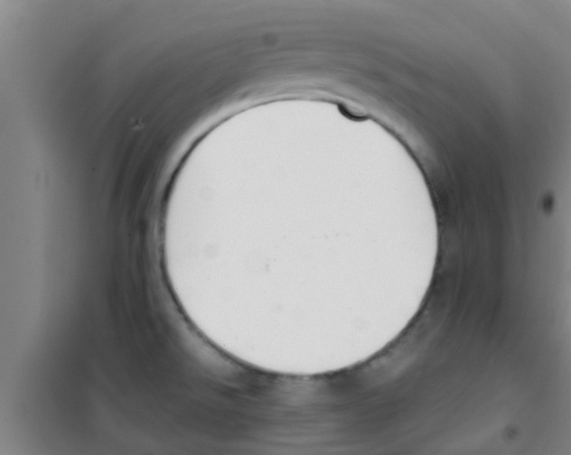 X0000100411526200807032025