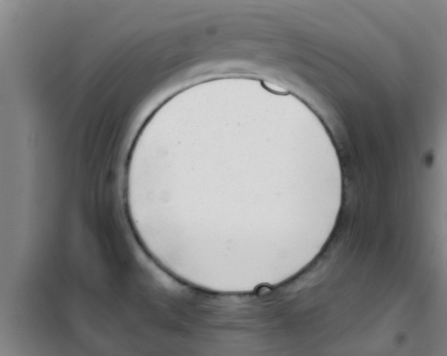 X0000100411527200807032026