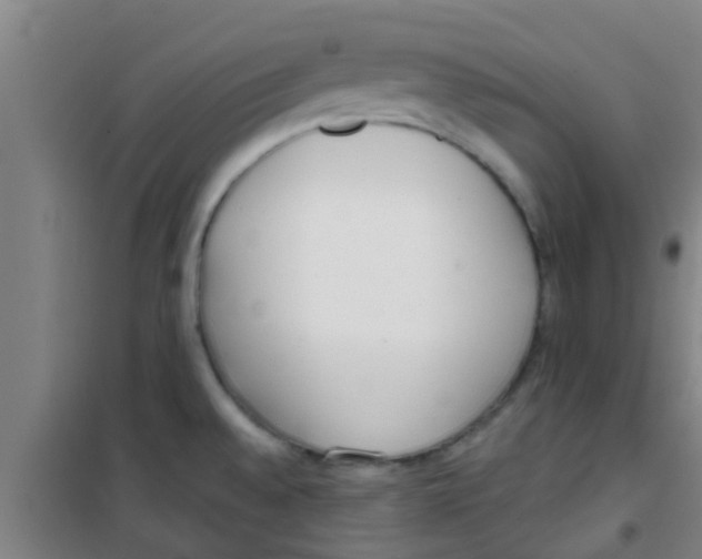 X0000100411528200807032026