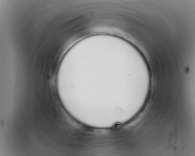 X0000100411529200807032026