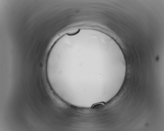 X0000100411530200807032026