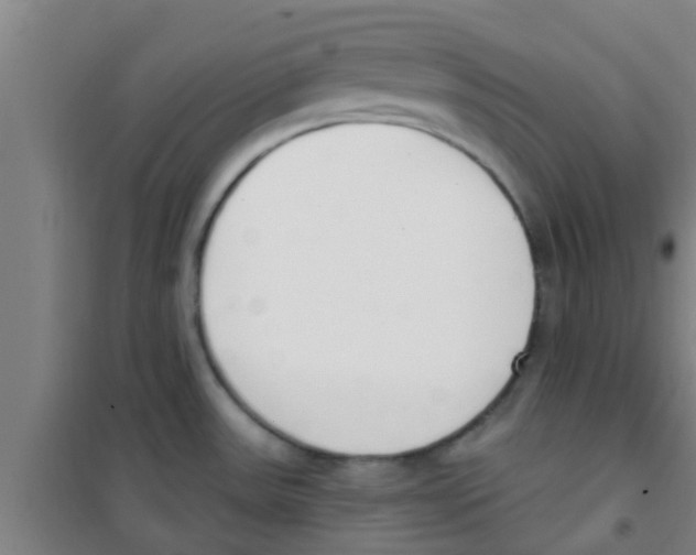 X0000100411531200807032026