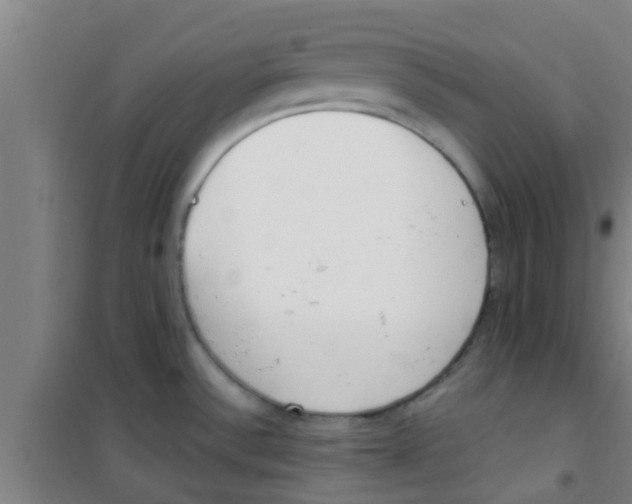 X0000100411532200807032026