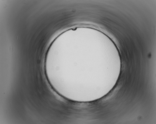 X0000100411533200807032026