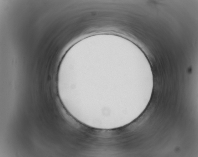 X0000100411534200807032026