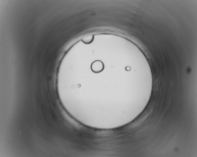 X0000100411535200807032026