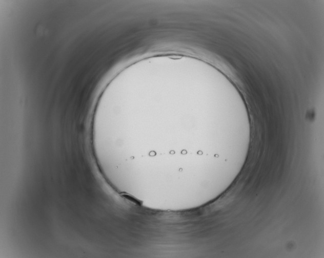 X0000100411536200807032026