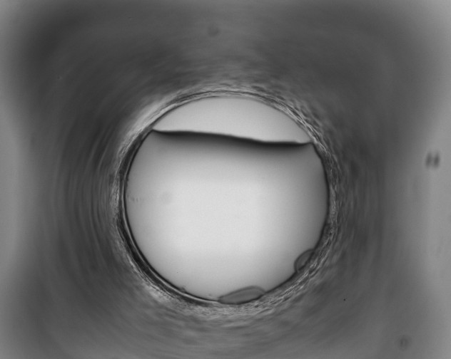 X0000100420005200806060959
