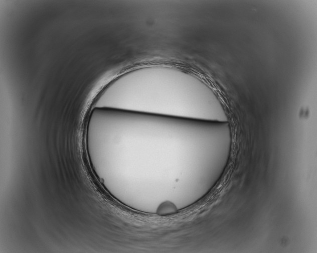 X0000100420006200806060959