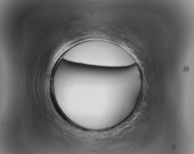 X0000100420007200806060959