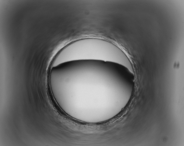 X0000100420008200806060959