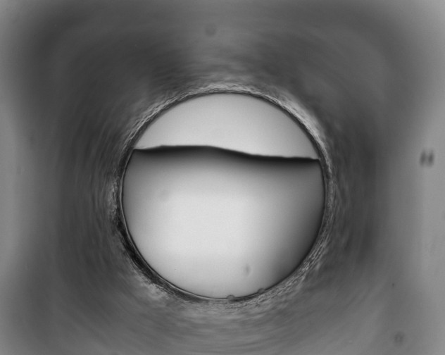 X0000100420009200806060959