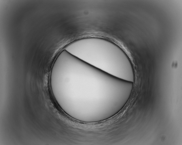 X0000100420010200806060959