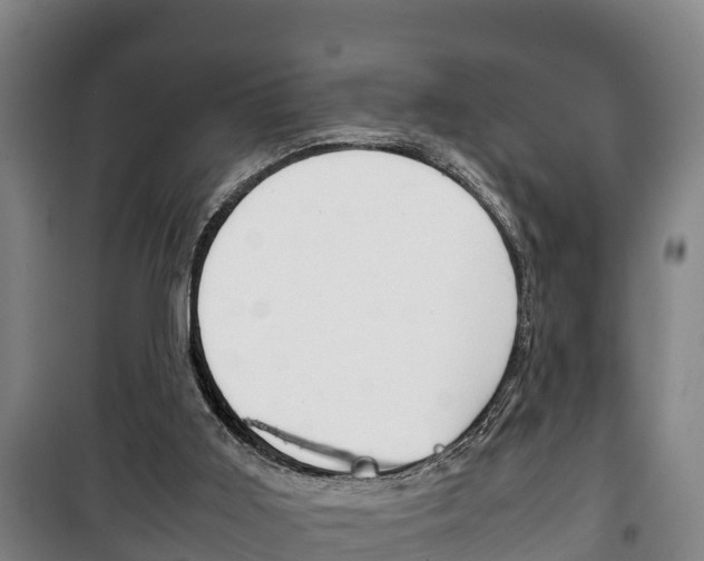 X0000100420011200806060959