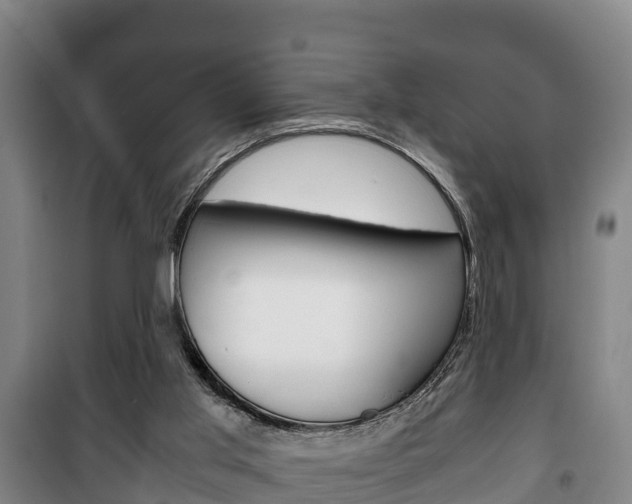X0000100420013200806060959