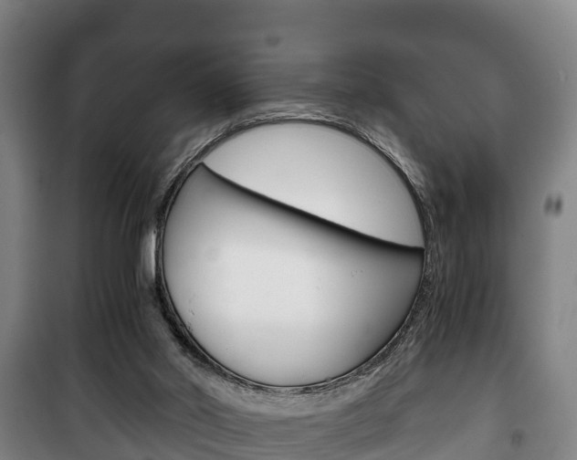 X0000100420014200806060959
