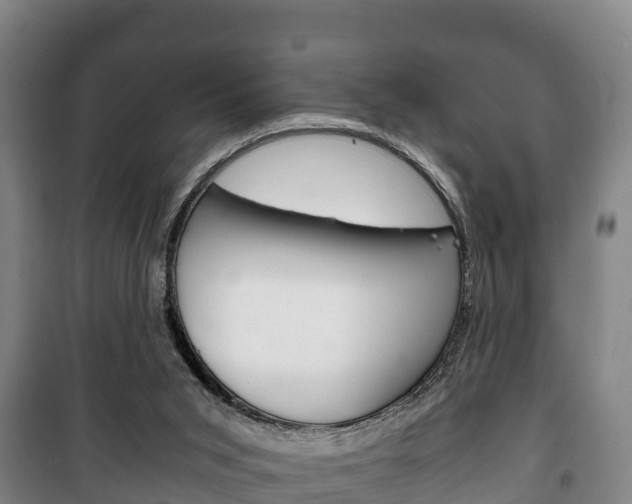 X0000100420015200806060959