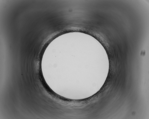 X0000100420016200806060959