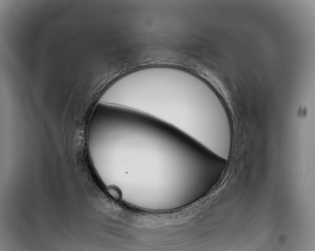 X0000100420017200806060959