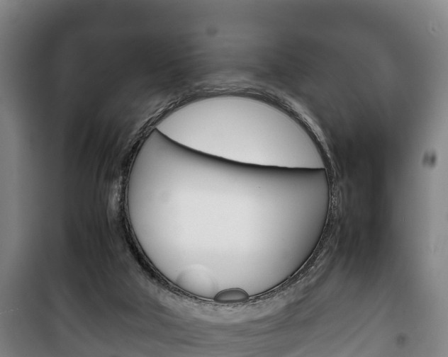 X0000100420018200806060959