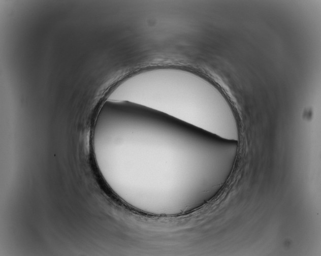 X0000100420019200806060959