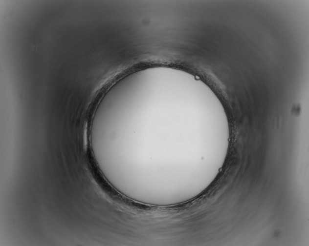 X0000100420020200806060958