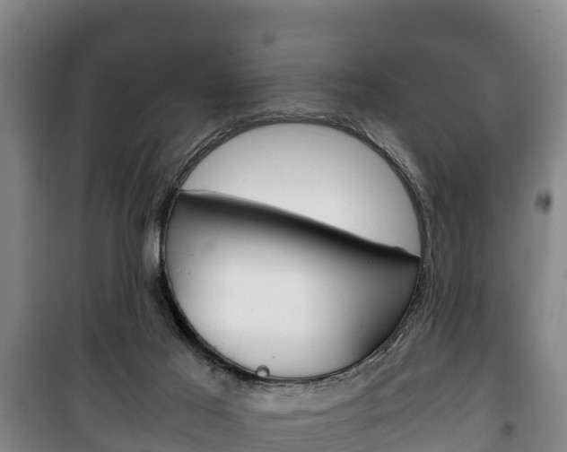 X0000100420021200806060958