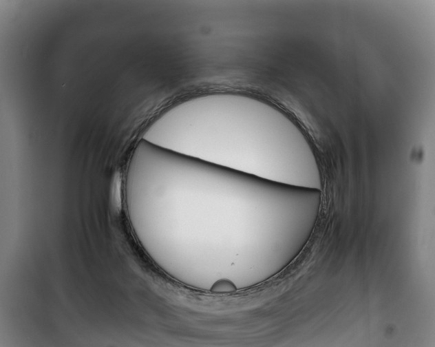 X0000100420022200806060958