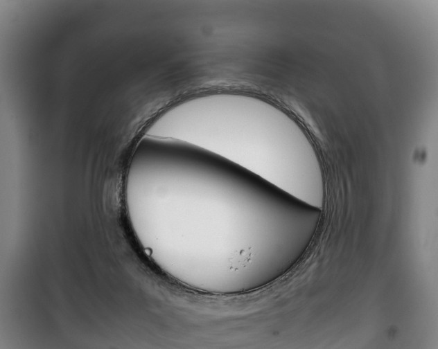X0000100420023200806060958