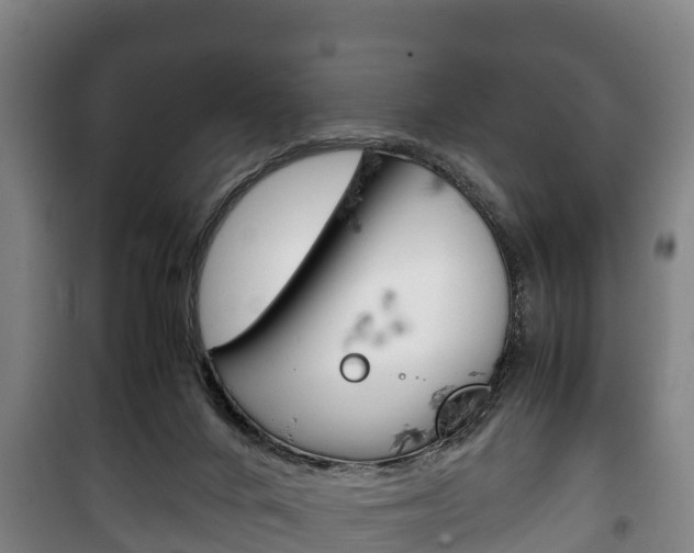 X0000100420024200806060958