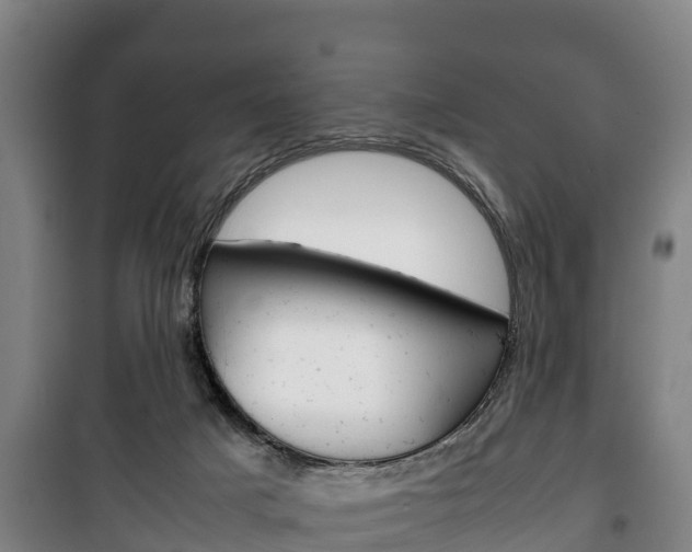 X0000100420025200806060958