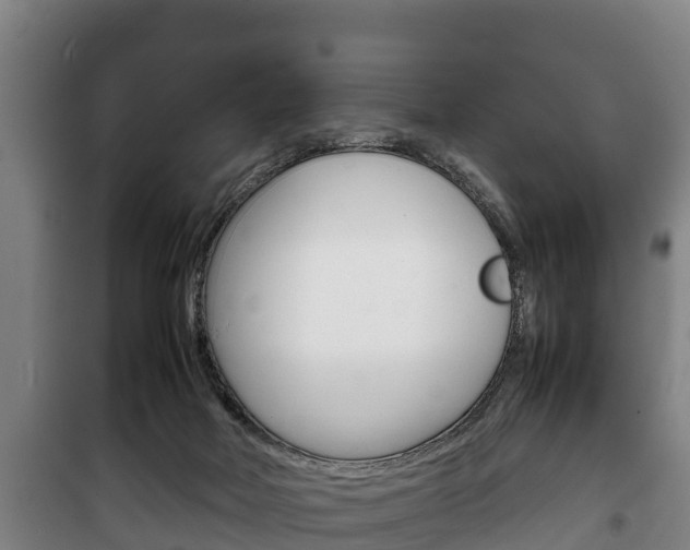 X0000100420026200806060958