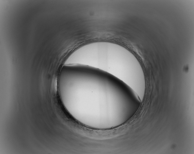 X0000100420027200806060958