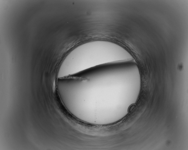 X0000100420028200806060958