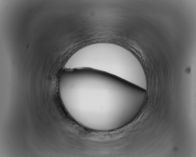 X0000100420029200806060958