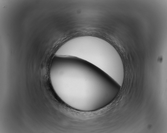 X0000100420031200806060958